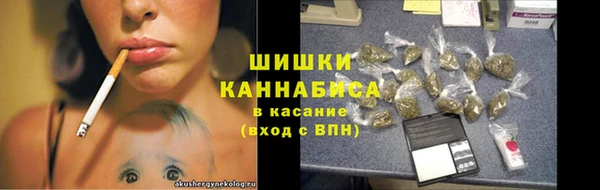 ешки Алексин